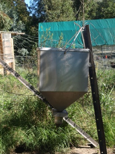 automatic chook feeder 001.jpg