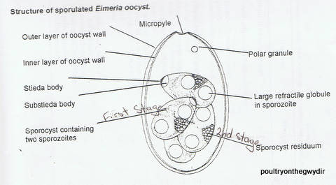 CCF23052011_00001.jpg