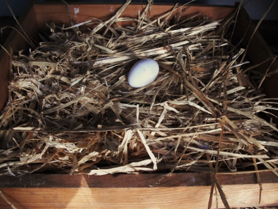 Nesting Box Made From Recycled Drawer.jpg