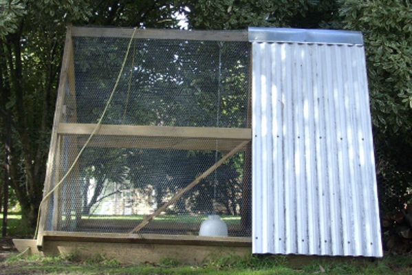 A Frame Walk In Chook Tractor.jpg